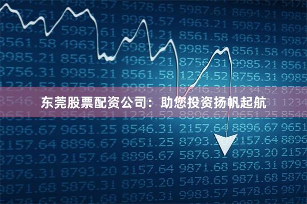 东莞股票配资公司:助您投资扬帆起航