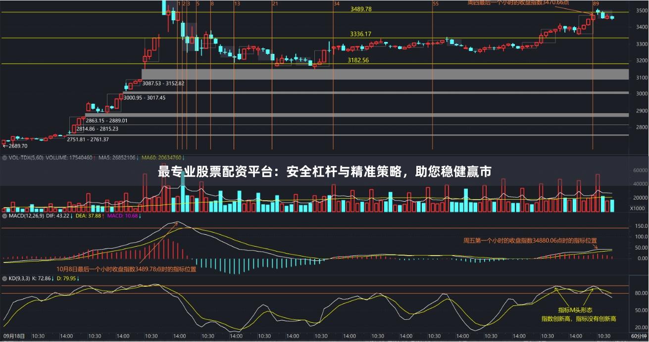 最专业股票配资平台：安全杠杆与精准策略，助您稳健赢市