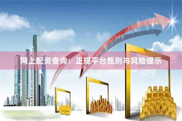 网上配资查询：正规平台甄别与风险提示